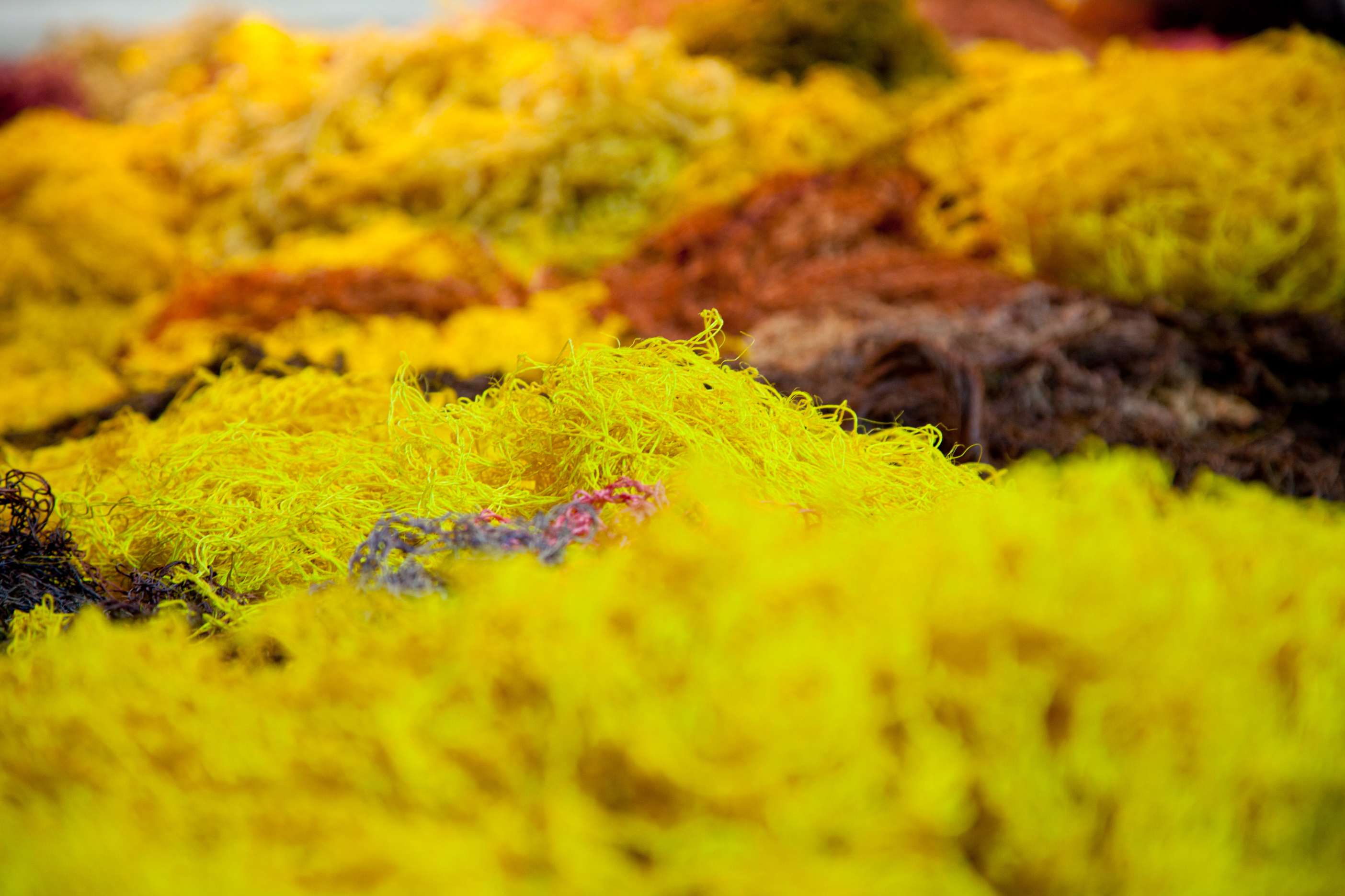 Amazonas Eafit_14.jpg